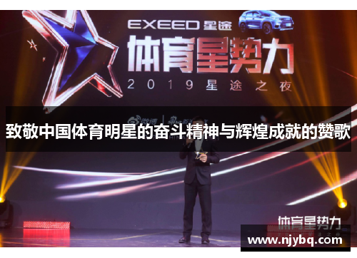 致敬中国体育明星的奋斗精神与辉煌成就的赞歌